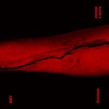 OSCURANA de  Antoine D'Agata. Un proyecto de Diseño editorial y Fotografía de MUSUK NOLTE - 14.11.2018