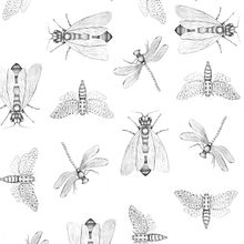Empapelado de insectos. Interior Architecture, Interior Design, and Digital Illustration project by Maitea del Hierro Oteriño - 04.15.2019