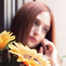 Sunflower. Photograph, Fine-Art Photograph, Portrait Photograph, and Digital Photograph project by Harry Rendón Mayorga - 04.17.2019