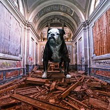 Caos. Photo Retouching project by David Brat - 04.17.2019