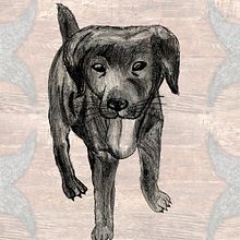 Django cachorro. Digital Illustration project by Pedro Luis Guerra Hernàndez - 04.21.2019
