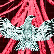 Eagle A.D. Drawing, and Digital Illustration project by Pedro Luis Guerra Hernàndez - 04.21.2019