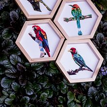 Colección Pájaros de Antioquia. . Industrial Design project by Lina Montoya - 09.01.2018