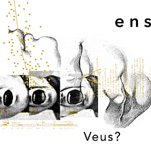 Festival Ensems 2019. Motion Graphics project by Sergiopop - 04.24.2019
