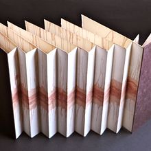 Libro de banderas. Fine Arts project by Luis Izquierdo García - 04.25.2019