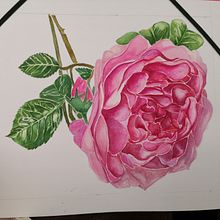 Mi interpretación del curso de Anna Mason. Fine Arts, Traditional illustration, and Watercolor Painting project by Maria José Vañó Vañó - 04.28.2019