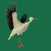 the_stork. Projekt z dziedziny Ilustracja c, frowa, Ilustracje dla dzieci, Trad, c i jna ilustracja użytkownika Gabriel Matteucci - 29.04.2019