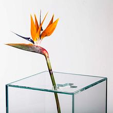 COLECCION DISEÑO PARA VIIO CHILE. Un proyecto de Diseño de Juan Pablo Fuentes - 01.05.2018