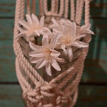 Mi Proyecto del curso: Introducción al macramé: creación de un tapiz decorativo. Design project by Jazmin NM - 05.02.2019