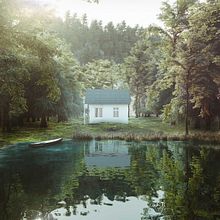 Forest_ Exterior. Un proyecto de 3D y Arquitectura de f9 studio. - 04.05.2019