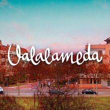 Valalameda. Br, ing, Identit, Web Development, Graphic Design, Web Design, and Lettering project by Daniel Peña Antón - 05.07.2019