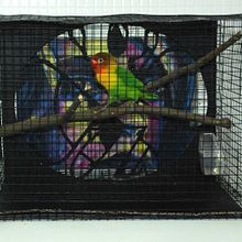 Reti-cula2. Fine Arts project by Francisco José Jiménez Campoy - 05.08.2019