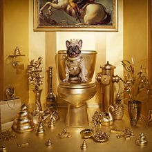 Golden Dog Ein Projekt aus dem Bereich Fotoretuschierung von Carlos Jimenez Varela - 04.05.2018