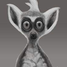Lemur - Digital Drawing. Een project van Digitale illustratie van Carlos Arriaga - 28.11.2018