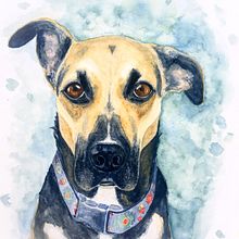 dogs. Un progetto di Belle arti, Illustrazione tradizionale, Pittura e Pittura ad acquerello di Andrea Bäbler - 17.03.2019