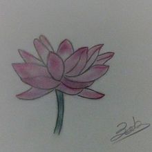 Flor de Loto  . Menggambar, Dan Gambar Pensil proyek oleh Eduardo Ortega Huerta - 01.29.2019
