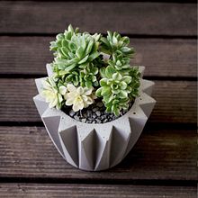 Jungla Urbana: Macetas de concreto + cactus y suculentas Ein Projekt aus dem Bereich Dekoration von Innenräumen, H, werk, Design, L, schaftsbau, Erweiterungsentwicklung und DIY von Brenda . - 18.06.2019