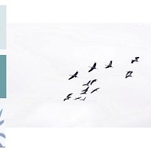 Mi Proyecto del curso: Fotografía profesional para Instagram. Projekt z dziedziny Design, Fotografia c, frowa i Zarządzanie portfolio użytkownika Paula Calero Ostariz - 07.11.2019