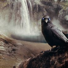 VALHALLA - by Mireya Rubio. Un proyecto de Concept Art, Fotografía e Ilustración digital de Mireya Rubio - 22.05.2019