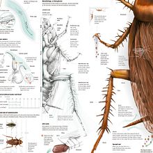 They are very close ... and you can't escape them. Editorial Design, Digital Illustration, Vector Illustration & Infographics project by Adolfo Arranz - 05.25.2017