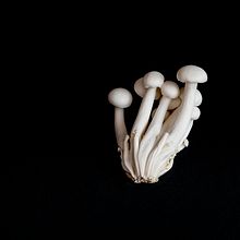 Gastronomia. . Un proyecto de Fotografía de producto de Khris Martinsson - 12.12.2018