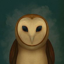 Mi Proyecto del curso: Lechuza Blanca. Un proyecto de Ilustración digital de Fernanda Mosqueira Giacaman - 26.05.2019