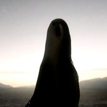 Subo a un árbol Videoclip. Un proyecto de Animación 2D, Animación, Diseño de personajes, Multimedia y Música de Blanca Bonet - 27.05.2019