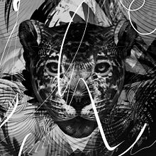 AYAHUASCA. Traditional illustration, and Digital Illustration project by Javier Casas "Moscko" - 05.27.2019