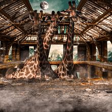 Mi Proyecto del curso: Secretos del fotomontaje y el retoque creativo. Projekt z dziedziny Retuszowanie fotografii użytkownika diego_f33 - 28.05.2019