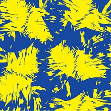 Digital Prints II. Un proyecto de Diseño de moda, Diseño gráfico y Estampación de Festela Store - 19.08.2017