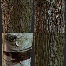 Photogrammetry Tile Textures - Bark Pack 01. 3D, Game Design, 3D Modeling, and Video Games project by David Chumilla - 05.31.2019
