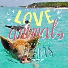 Love animals!!. Un proyecto de Lettering de Felipe Ocaña - 01.06.2019