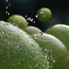 Zummo | Taste the difference . % Diego Pérez Tortosa tarafından hazırlanan 3D Animas, on, 3D Modelleme, Ve Reklamcılık projesi - 06.03.2019