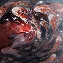 Koi mermaid. Drawing, Traditional illustration, and Digital Illustration project by Alejandra Galadí Leiva - 06.03.2019