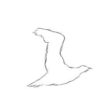 Mi primer animación en rough cuadro a cuadro con Photoshop.. 2D Animation project by axzuva - 06.04.2019