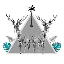 Sauvage. Un progetto di Illustrazione tradizionale, Illustrazione digitale e Illustrazione vettoriale di Aida Rius - 06.06.2019