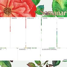 Mi Proyecto del curso: Ilustración botánica con acuarela. Een project van Traditionele illustratie van Ana Duque - 07.06.2019