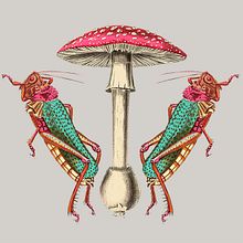 Crear una línea de mascadas y forros personalizados para mi marca de bolsos. . % sofia_merodio tarafından hazırlanan Moda Tasarımı projesi - 06.18.2019