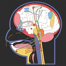 Mold magazine IV Ein Projekt aus dem Bereich Bildende Künste und Design von Cynthia Alfonso - 11.06.2019