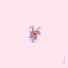 Minimal Flowers. Un projet de Conception d'affiches, Design d'intérieur, Design graphique et Illustration traditionnelle de Naiara Hernantes - 13.06.2019