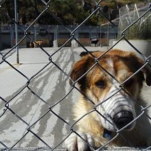 Una nueva perspectiva: Mi historia. . Een project van Digitale marketing van Adrian Vicenteño - 25.06.2019