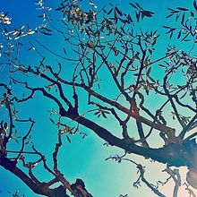 Referentes y algunos dibujos. Projekt z dziedziny  Manager art, st i czn użytkownika María Robledo - 14.06.2019