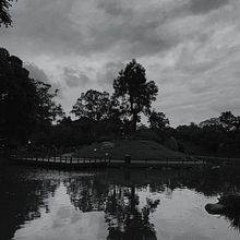 Mi Proyecto del curso: Fotografía y composición para Instagram. Mobile Photograph project by Lucas Pandolfi - 06.17.2019
