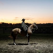 CABALLOS DE ESTUDIO. Un progetto di Fotografia artistica di Adrián Melo - 18.06.2019