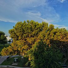 Mi Proyecto del curso: Fotografía y composición para Instagram. Photograph project by marianag004 - 06.19.2019