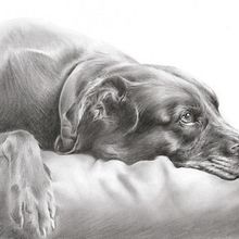 Hermes. Un proyecto de Dibujo a lápiz de Marisa Zurita López - 20.06.2019