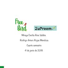 Proyecto marca free bird en conjunto con Cecilia Rios . Br, ing & Identit project by Rodrigo Rojas Mendoza - 06.04.2018