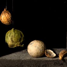 Homenaje macro a Cotán, con pimientas. Ein Projekt aus dem Bereich Fotografie und Artistische Fotografie von Sergi Gomez Garcia - 21.06.2019
