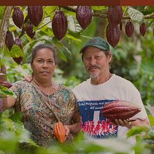 Proyecto de diversificacion con cacao - Identidad de marca. Un progetto di Branding, Brand identity e Graphic design di Dainin Solis - 09.08.2018