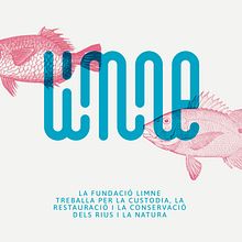 Fundació Limne. Un proyecto de Br, ing e Identidad, Diseño, Diseño de logotipos e Ilustración tradicional de LOCANDIA Estudio - 25.06.2019
